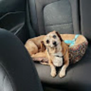 Meet your Posher, Donnalee